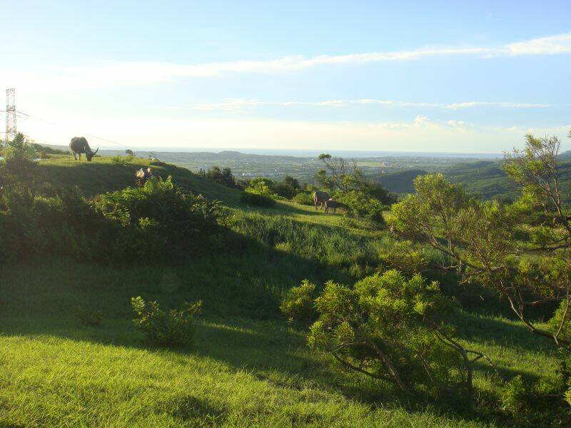 DSC09785.JPG