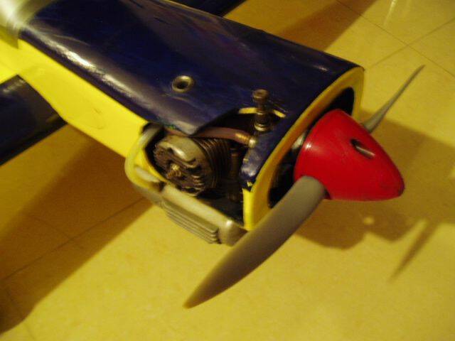 P1010022.JPG