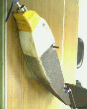 IMG0078A.jpg