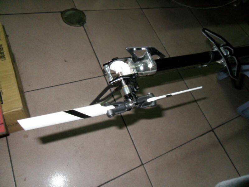 SDC10831.JPG