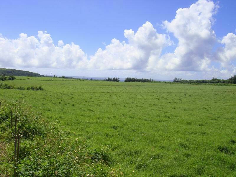 Resize of 民宿飛場.JPG
