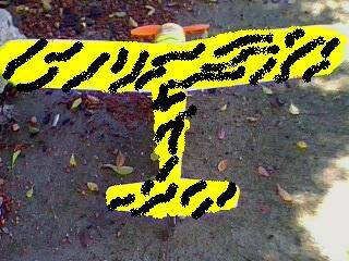 IMG0031A.jpg