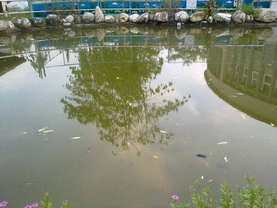 20100923318.jpg