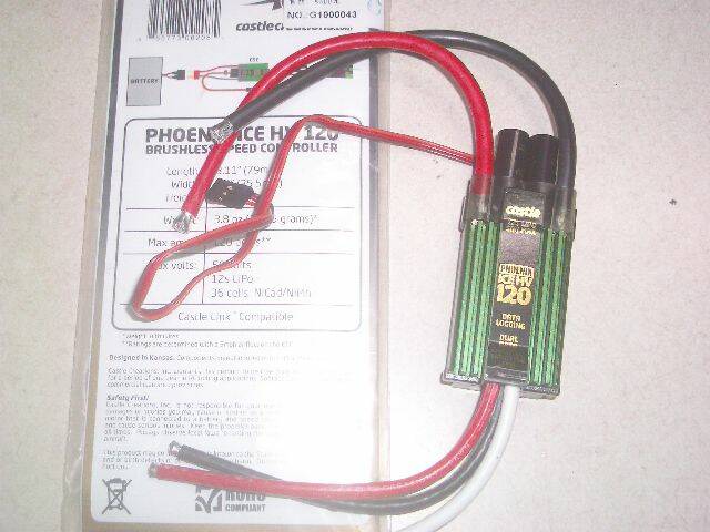IMGP0407.JPG