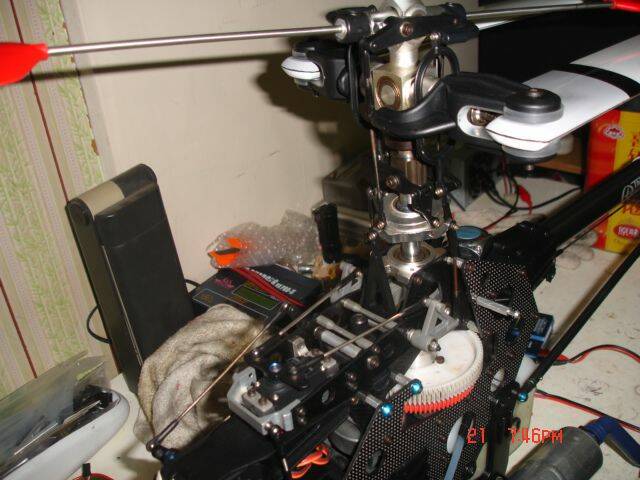 DSC09629.JPG