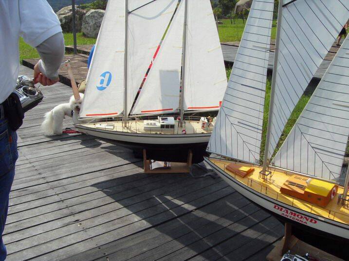 SDC15725.jpg