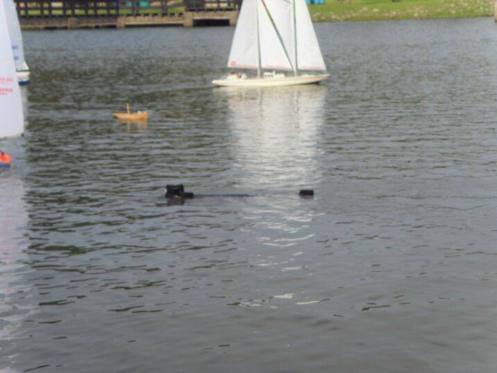 SDC15790.jpg