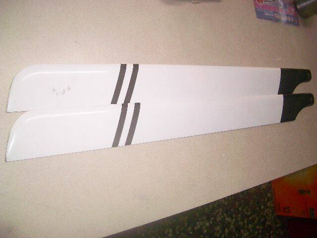 IMGP0412.JPG