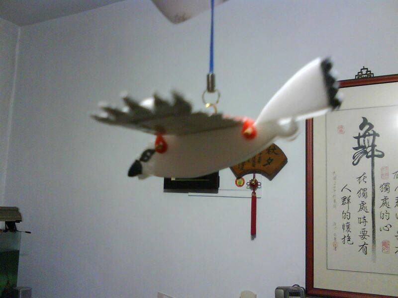 DSC01482.JPG