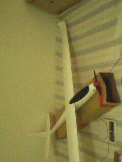 IMG0305A.jpg