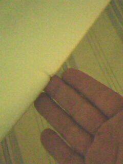 IMG0307A.jpg