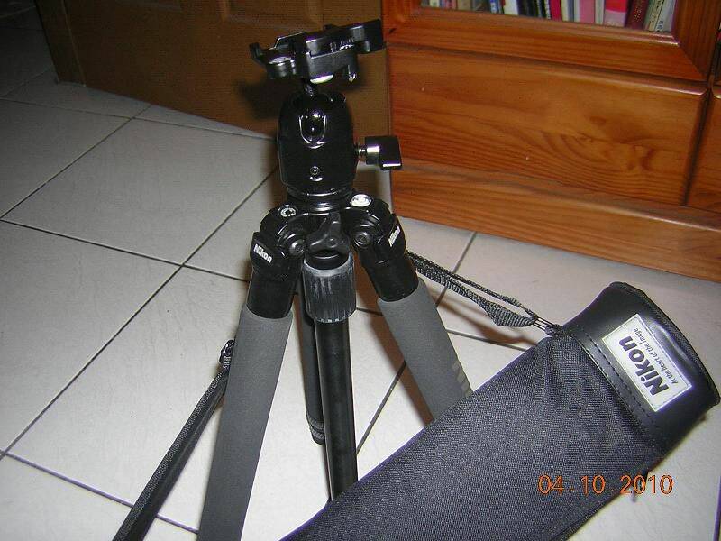 6447.JPG