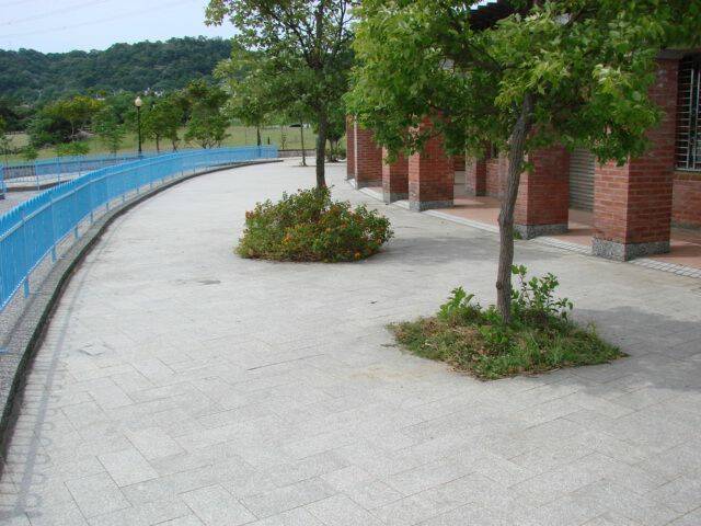 DSC08628.JPG