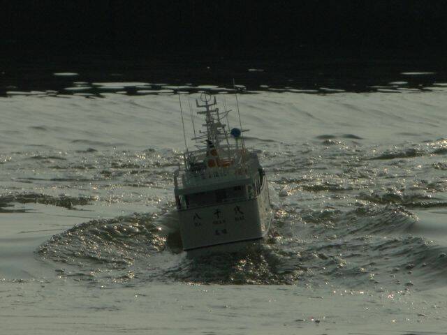 DSC00668.JPG
