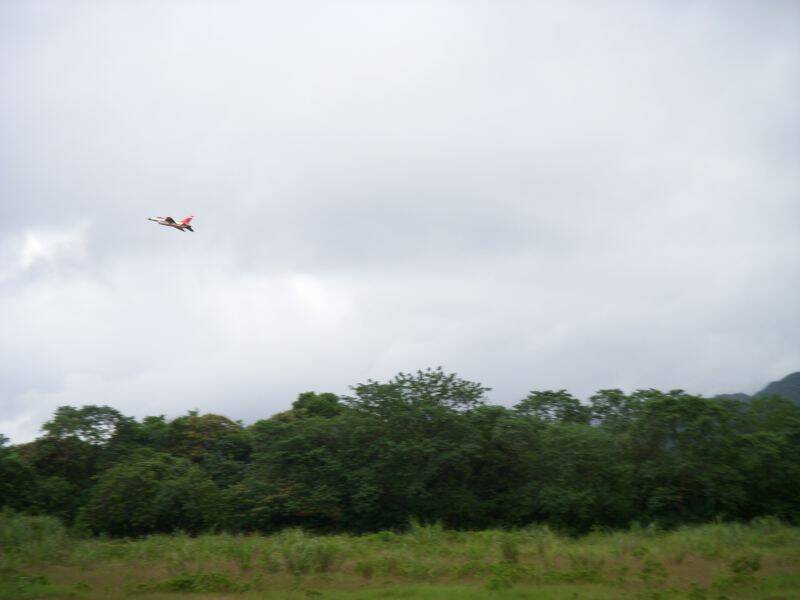 DSCN9953.JPG
