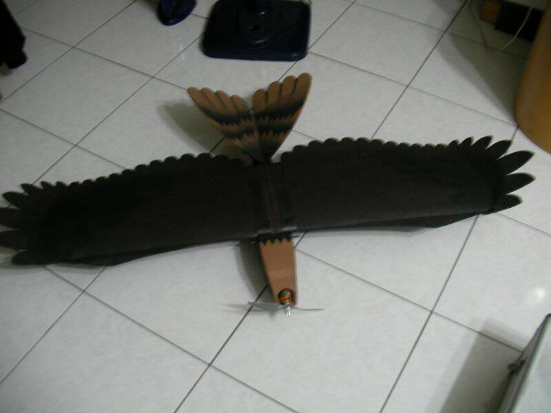 SANY0196.JPG