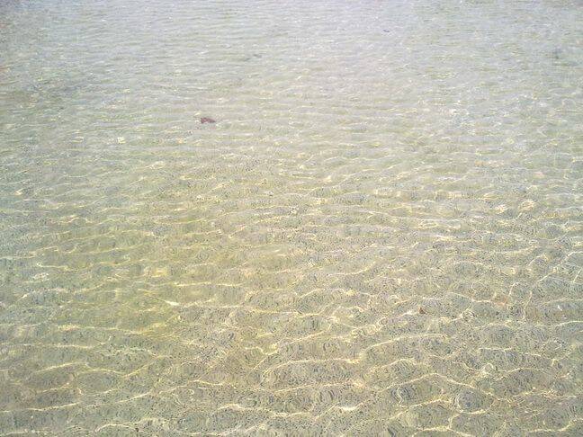 20101016517.jpg