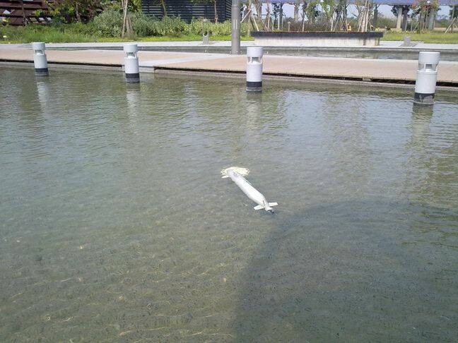20101016520.jpg