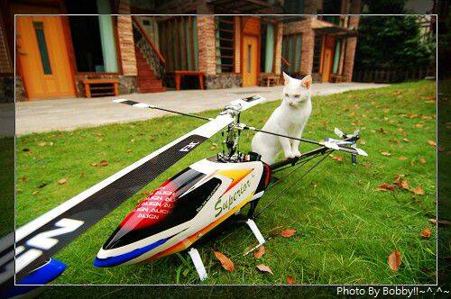 nEO_IMG_DSC_4348.jpg