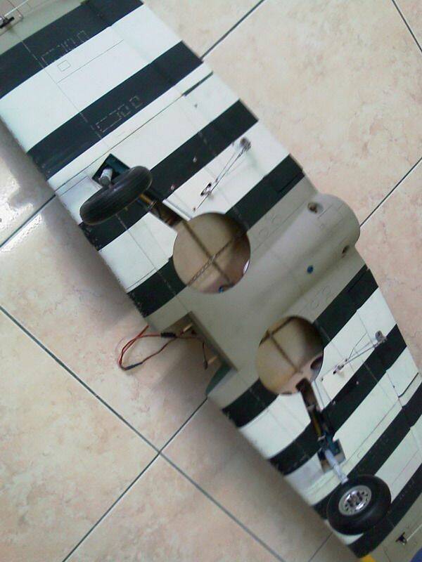 IMAG0460.jpg