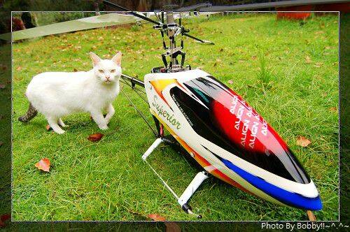 nEO_IMG_DSC_4346.jpg
