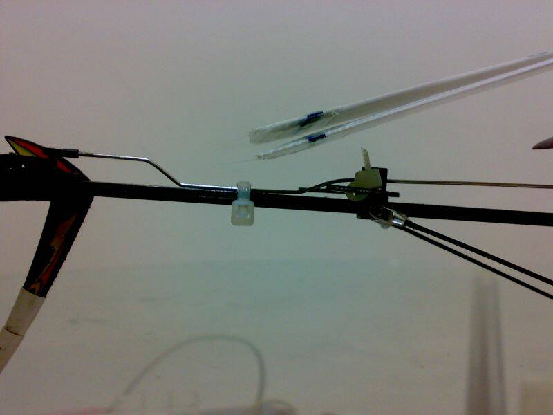 20101009734.jpg