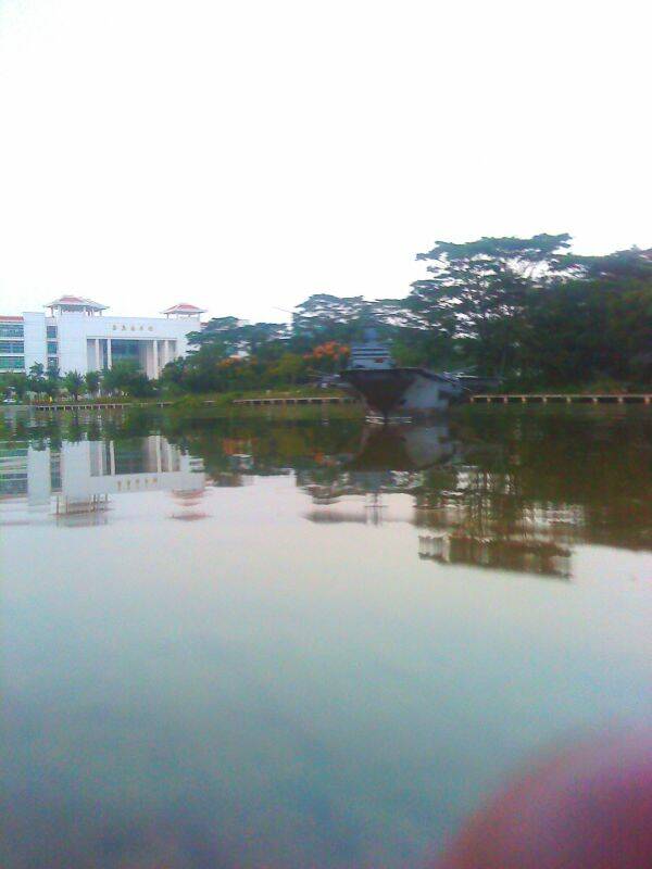 dsc00484_conew1.jpg