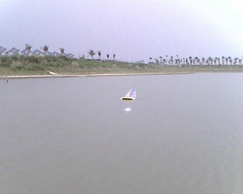 IMG2919A.jpg