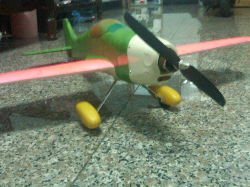 IMG00084-20101107-0008.jpg