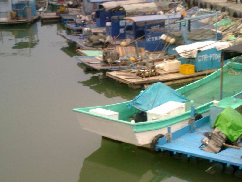 20101108715.jpg