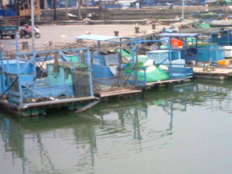 20101108719.jpg