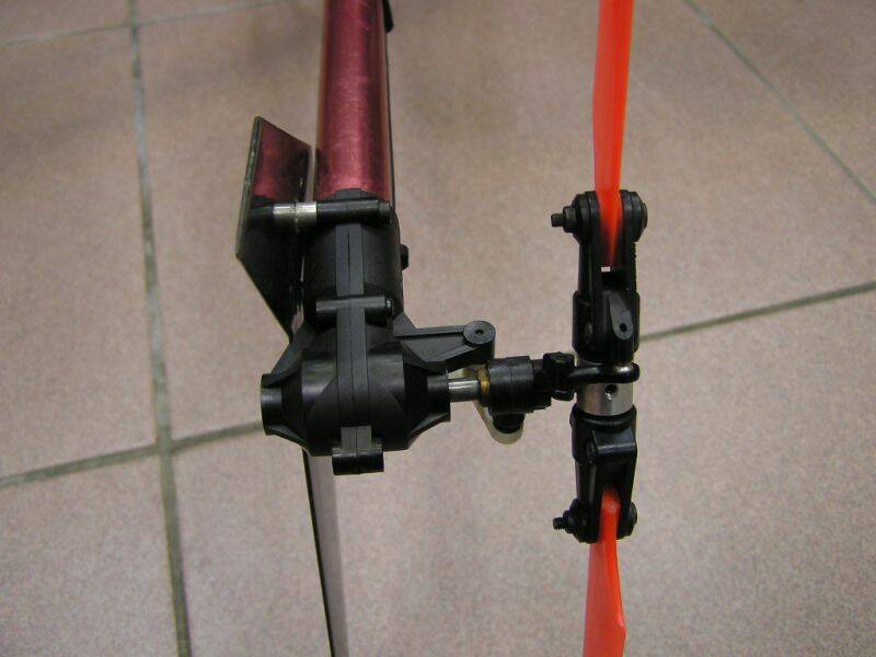 PB110198.JPG