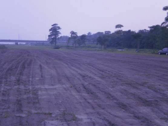 2010_11160014.JPG