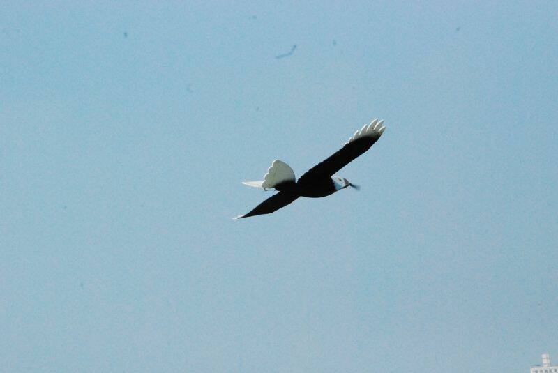 DSC_0013.JPG