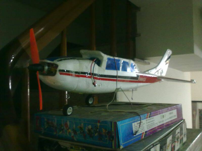 20101129862.jpg
