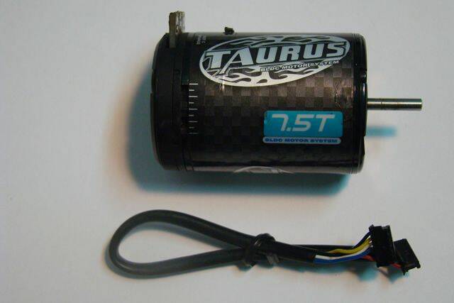 75TKV6100.JPG