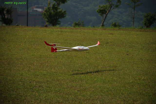nEO_IMG_DSC_0158.jpg