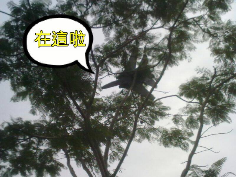 20101210946-001.jpg