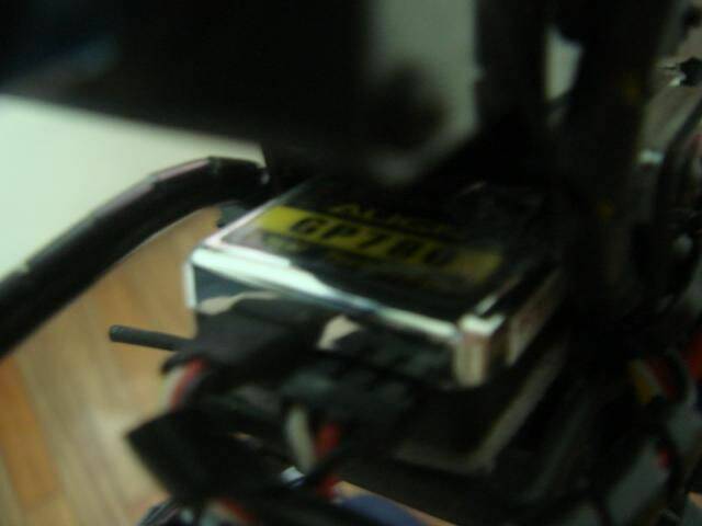 DSC06175.jpg