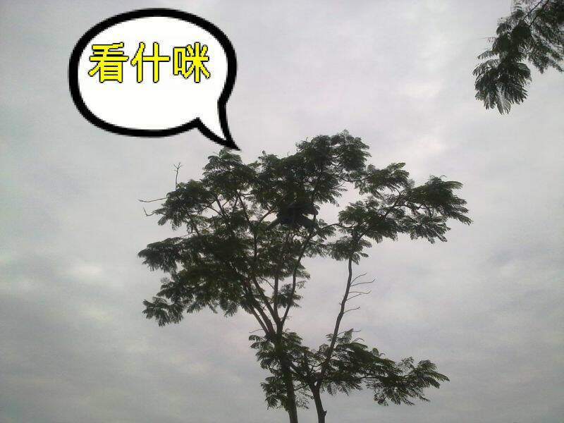 20101210944-001.jpg