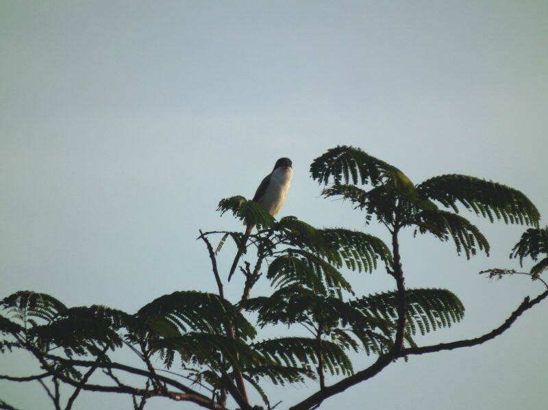 DSCF0692.jpg