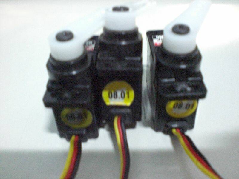 CIMG0477.JPG