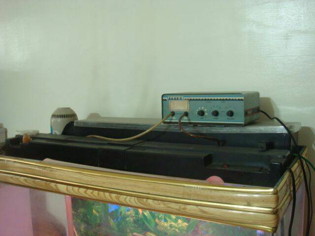 20100825_f22b06df0de4516fd0f3h5ZgpZLJVmre.jpg