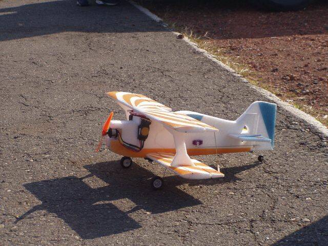 P1010042.JPG
