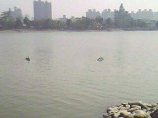 IMG0053A.jpg