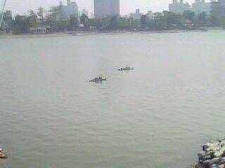 IMG0055A.jpg