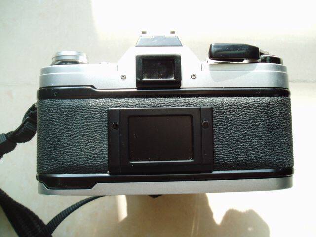 P1010197.JPG