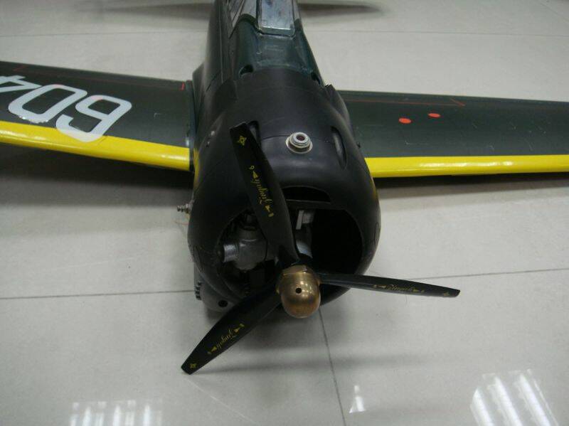 DSC01180-1.jpg