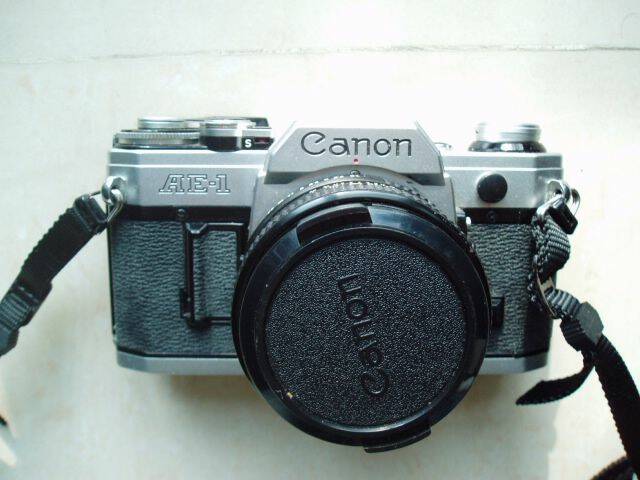 P1010196.JPG