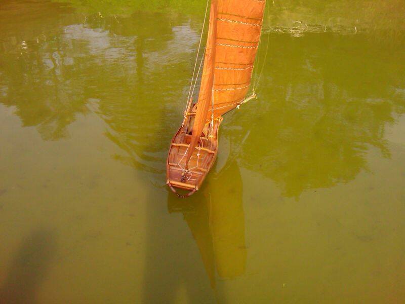 IMAG0224.jpg